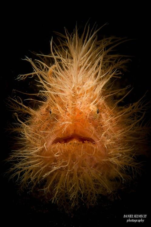 16544_573576852657294_1205619247_n