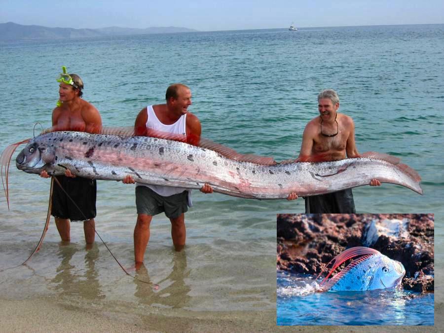 545079_524468947574121_1084395295_n