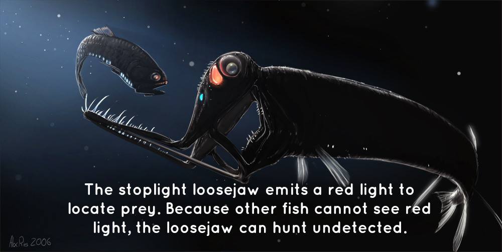 1072206_625511304136551_2130858404_o