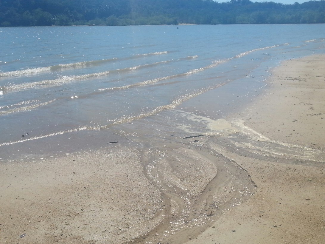 20141211_105226.jpg image