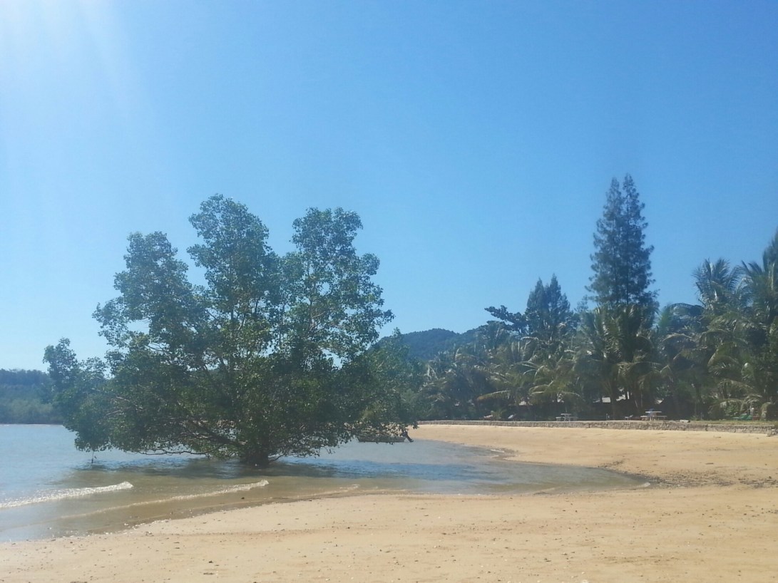 20141211_105329.jpg image